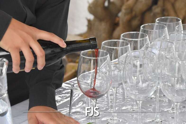 Habrá conciertos de Son del Caney, Havana 500, Artistas del Gremio, Los Lola, Cantadores, Diana Navarro y Violetas / TA